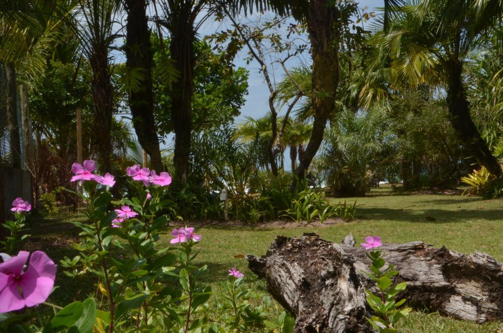 Hotel Pousada Tortuga Barra Grande  Exterior foto